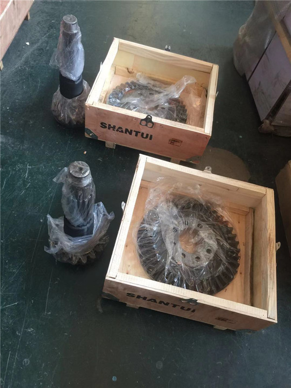 傘盆齒