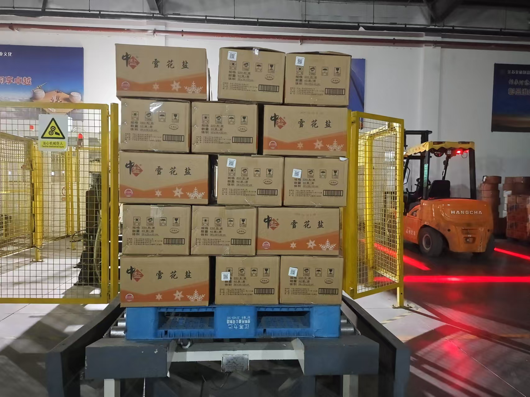 1734914528814 00b9ab71b7bb17ac31d2f0f70450173