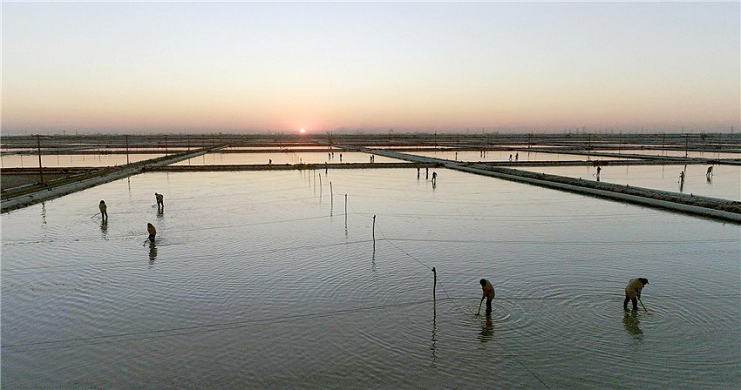 鹽灘的女人1.png 鹽灘的女人1.png